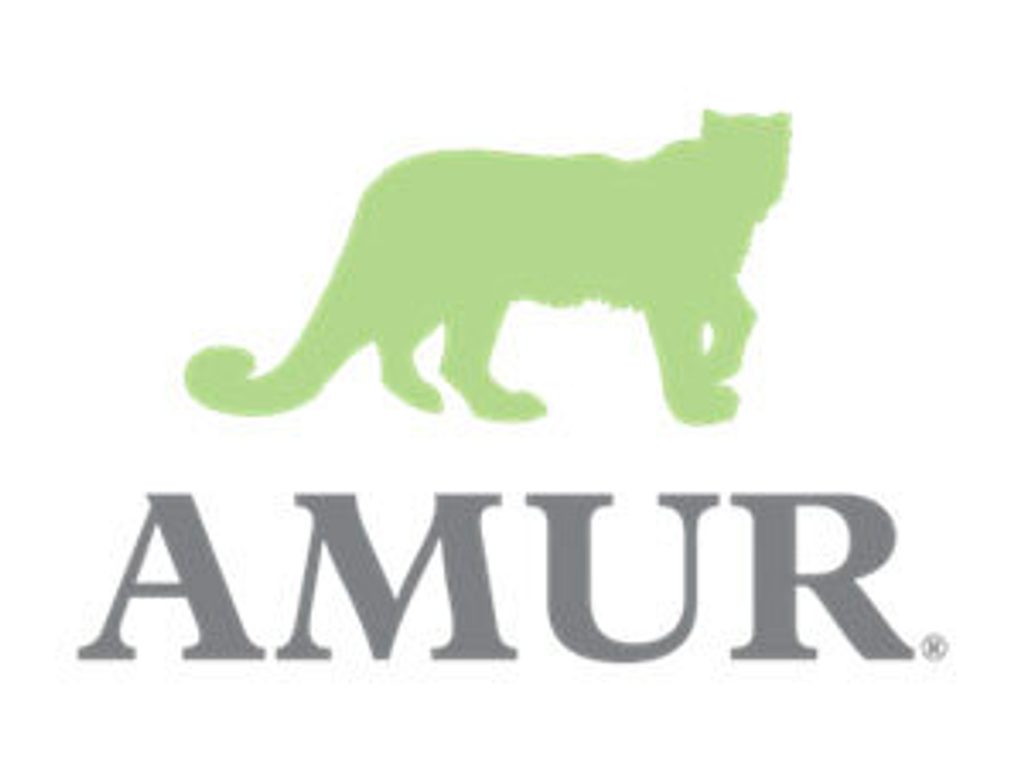Amur logo 2021